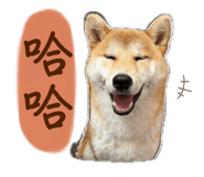 864825867