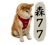 864825870