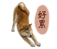 864825886