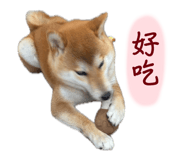 864825891