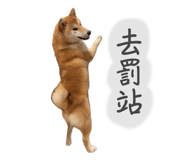 864825897