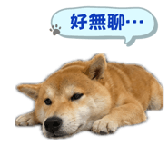 864825899