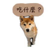 864825900