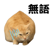 864828283