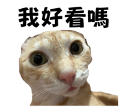 864828289