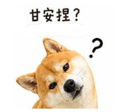 864828411