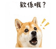 864828417