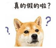864828420