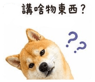 864828423