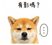 864828425
