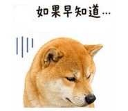 864828426