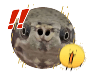 864828581