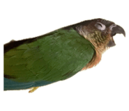 864829049