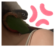 864829068