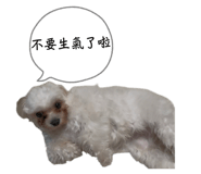 864829866