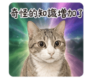 864830306