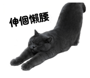 864831893