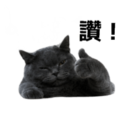 864831894