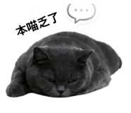 864831895