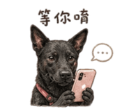 864832267