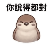 864832853