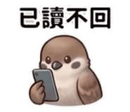 864832863