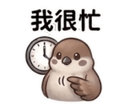 864832869