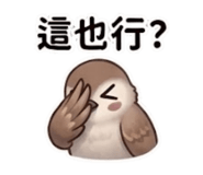 864832872