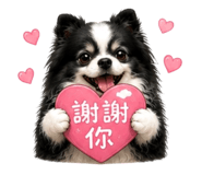 864832962
