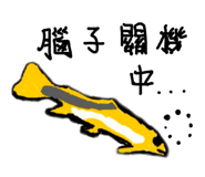 864833394