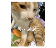 864833453