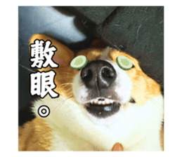 864833919
