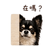 864834293