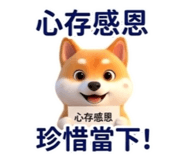 864851599