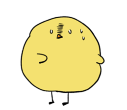 8648523