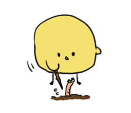 8648525