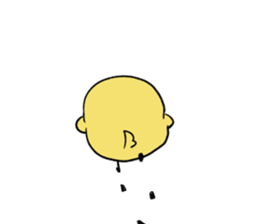 8648527