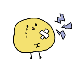 8648536