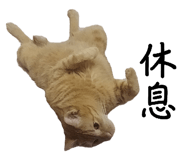 864899336