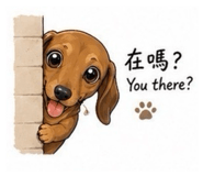 864899562
