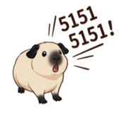 864899598