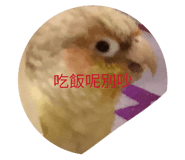864899713