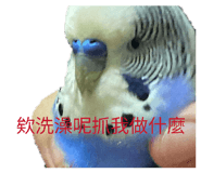 864899714