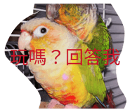 864899715