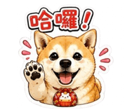 864900220