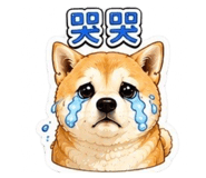 864900226