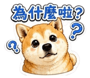 864900229