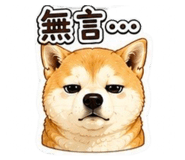 864900230