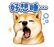 864900231