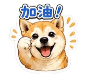 864900237